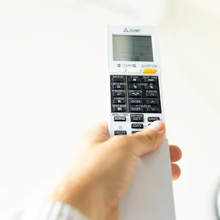 Season Surprise Apartment, By Cohost