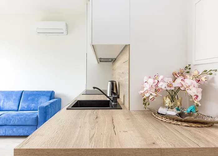 Season Surprise Apartment, By Cohost *