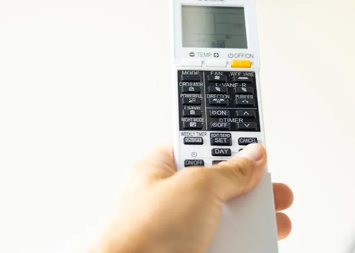 Season Surprise Apartment, By Cohost